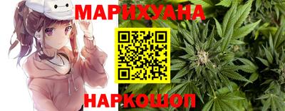 амф Донской