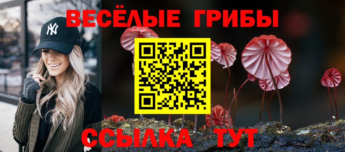 Петрозаводск  Псилоцибиновые грибы Psilocybine cubensis  хочу наркоту  Вход с VPN 